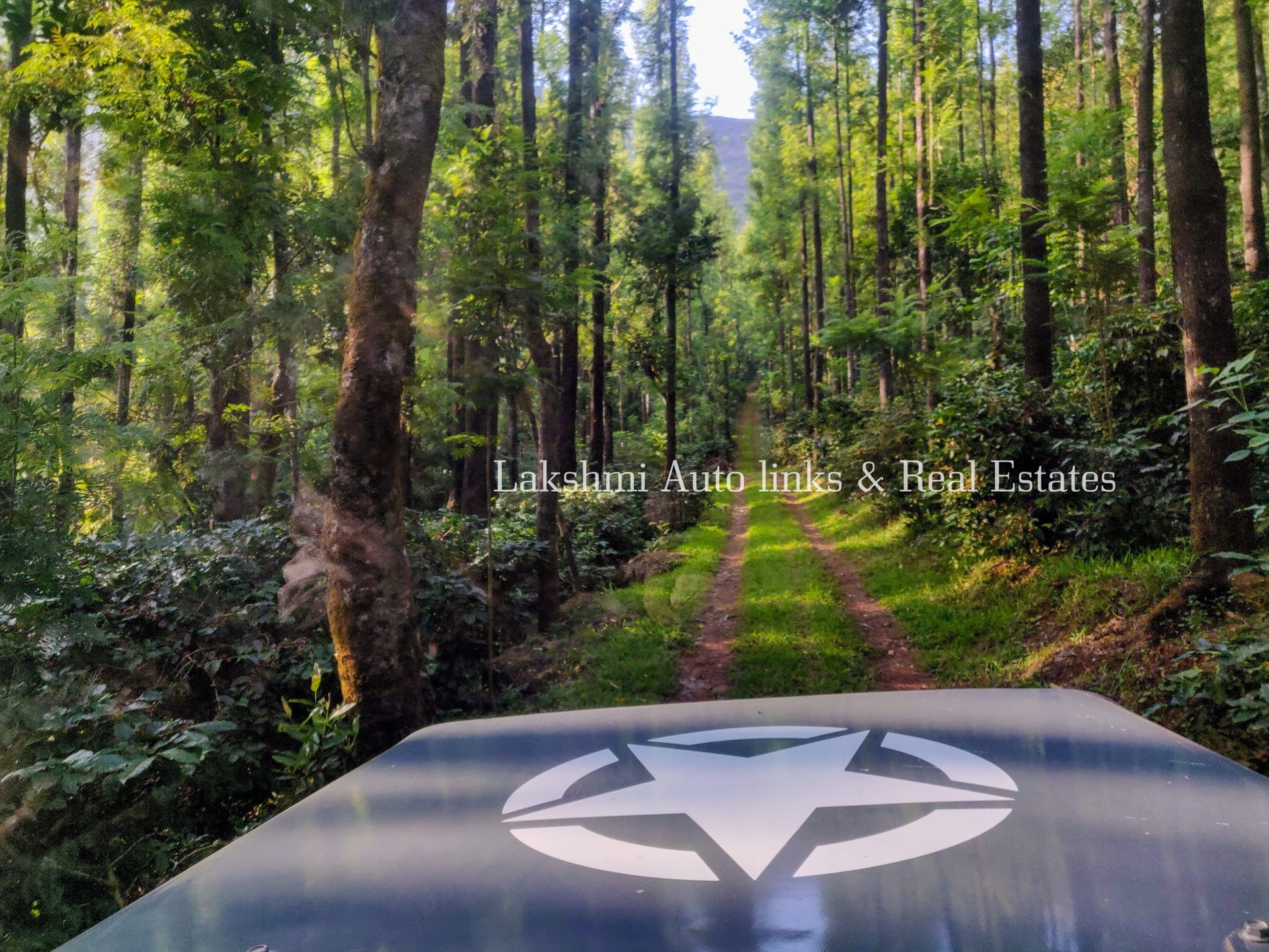 Buying a Coffee Estate in Chikkamagaluru