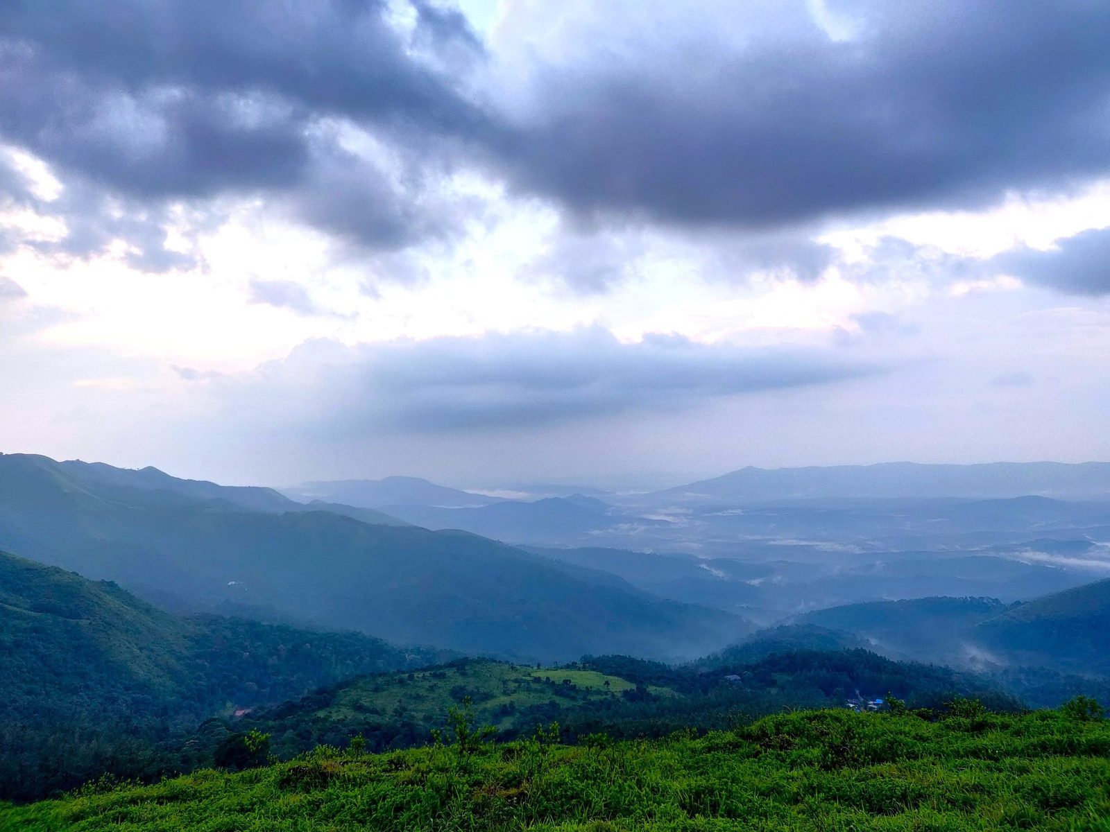 Plantation country across the Chikkamagaluru hills