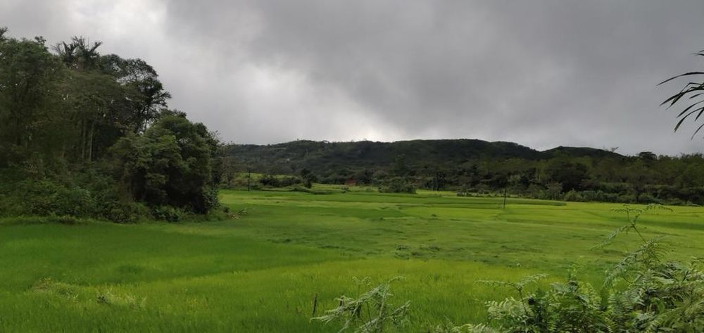 Land with a view of the Western Ghats near Chikkamagaluru