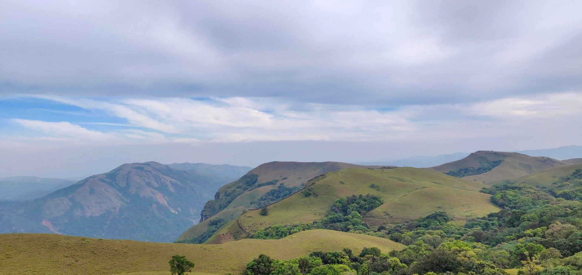 Open land with hills behind it, Chikkamagaluru district