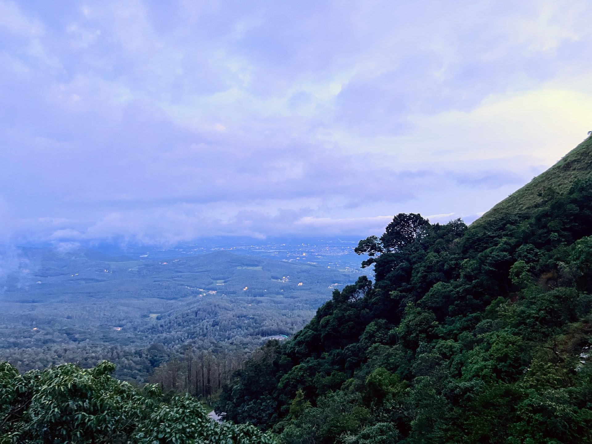 What Coffee Estates Actually Cost